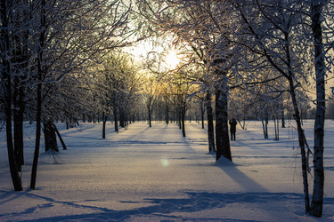 Similar image 5620739