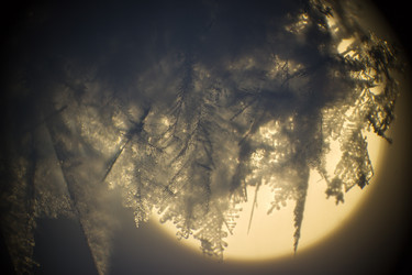 Similar image 5620741