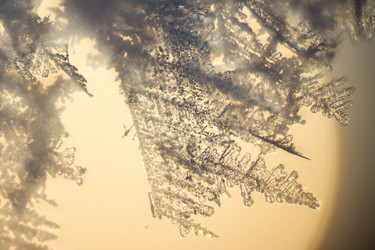 Similar image 5620743