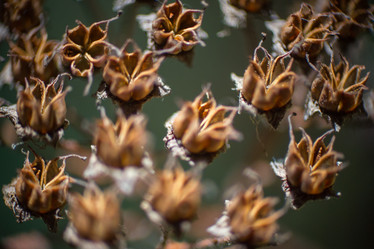 Similar image 5620748