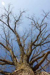 Similar image 5620750