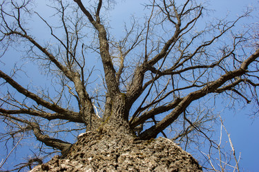 Similar image 5620751