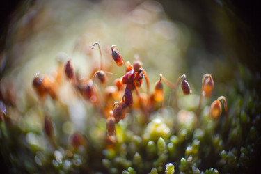 Similar image 5620752