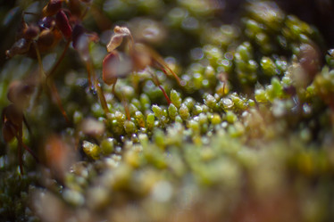 Similar image 5620753