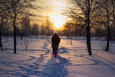 Similar image 5620756