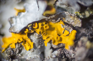 Similar image 5620764