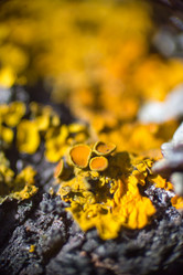 Similar image 5620775