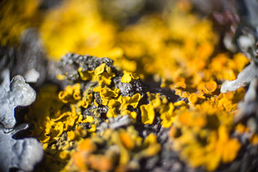 Similar image 5620776