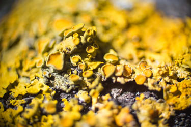 Similar image 5620780