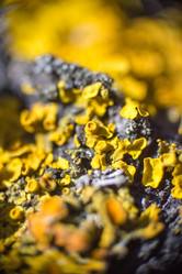 Similar image 5620781