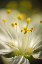 Similar image 5620785