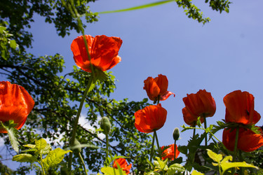 Similar image 5620787