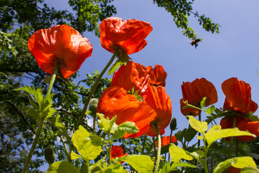 Similar image 5620788