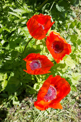 Similar image 5620790