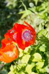 Similar image 5620791