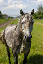 Similar image 5620792