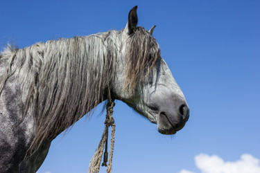 Similar image 5620793