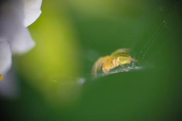 Similar image 5620796