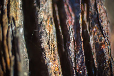 Similar image 5620800