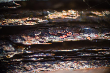 Similar image 5620802