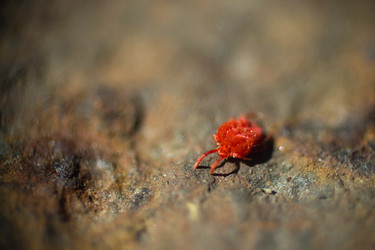 Similar image 5620803