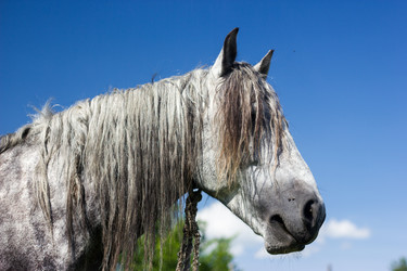 Similar image 5620804