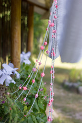 Similar image 5620807