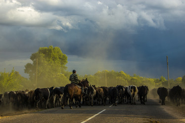 Similar image 5620816