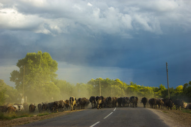 Similar image 5620818