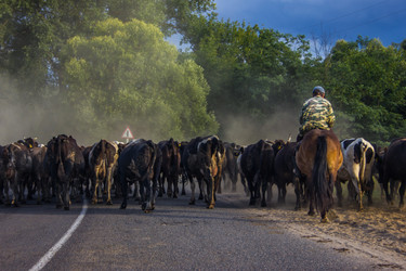 Similar image 5620819