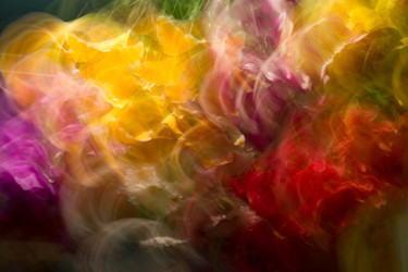 Similar image 5620843