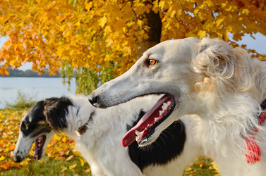 Similar image 5620853