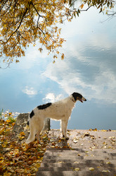 Similar image 5620864