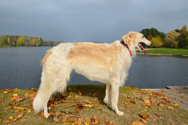 Similar image 5620866