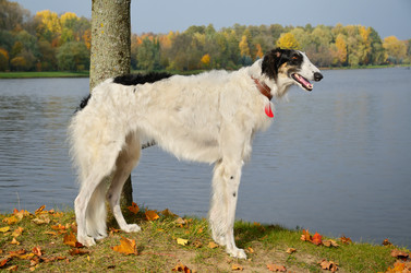 Similar image 5620867