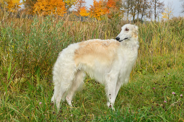 Similar image 5620870