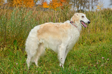 Similar image 5620871