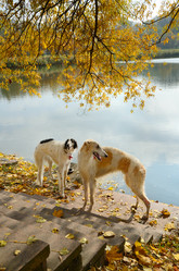 Similar image 5620876