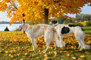 Similar image 5620879