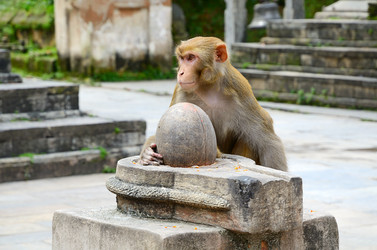 Similar image 5620891