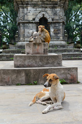 Similar image 5620893