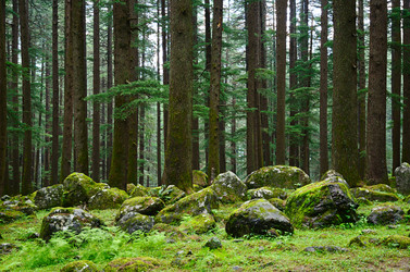 Similar image 5620896