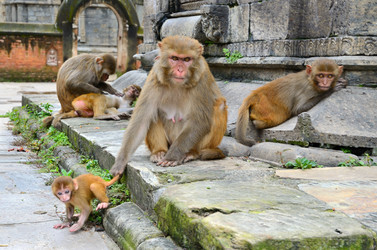 Similar image 5620926