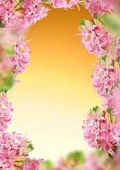 Similar image 5620945