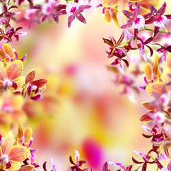 Similar image 5620956