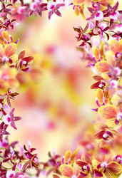 Similar image 5620957