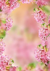 Similar image 5620958