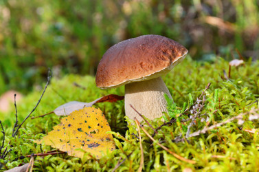 Similar image 5620987