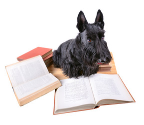 Similar image 5620988