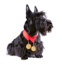 Similar image 5620999